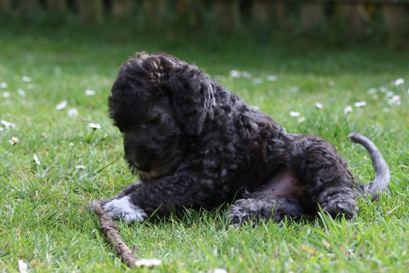 Arc-en-ciel Antares 2009-06-30 (25).JPG